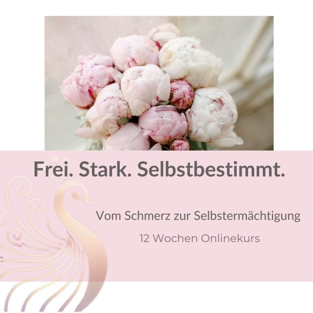 Narzissmus aufarbeiten Onlinekurs Cover
